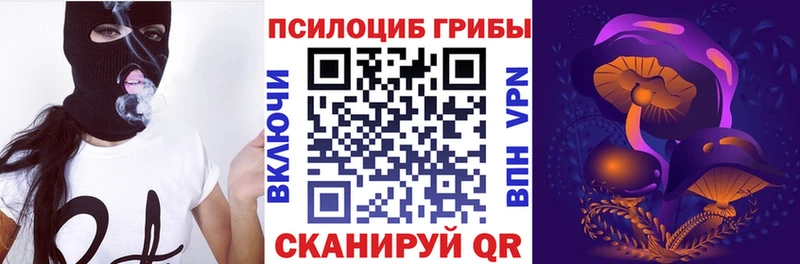 Псилоцибиновые грибы Psilocybine cubensis  хочу наркоту  Ковров 